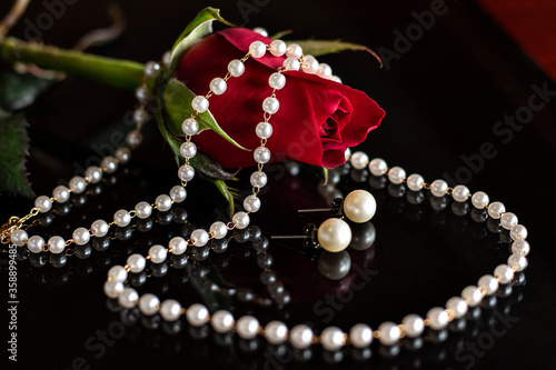 pearl rose