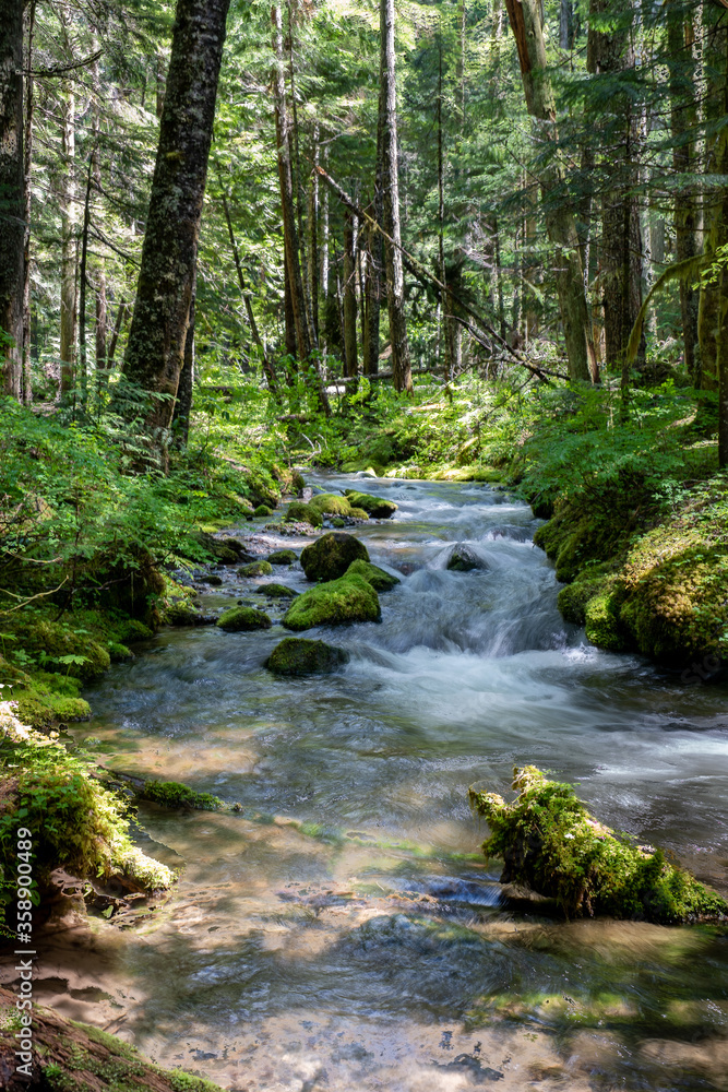Stream Stream