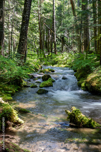 Stream