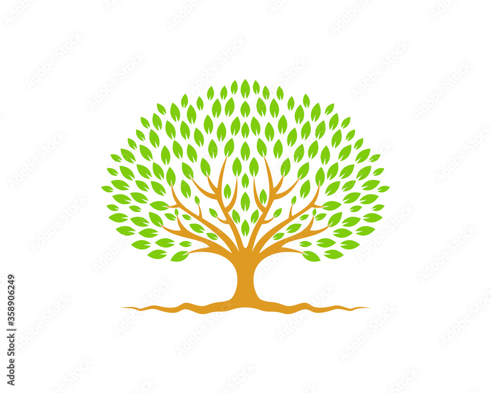 Naklejka premium nature leaf tree