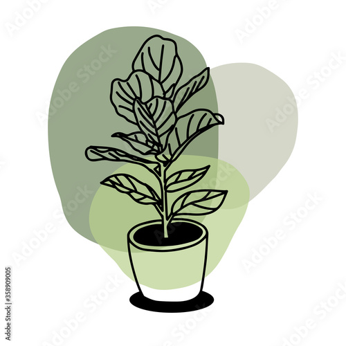 Rubber Plant in pot. Vector poster design.