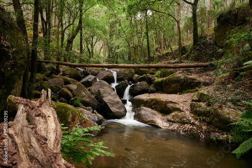 River Leça Waterfalls in Monte Cordova, Portugal. The river water runs down the big rocks of the mountain, under the green canopy of the trees in the spring