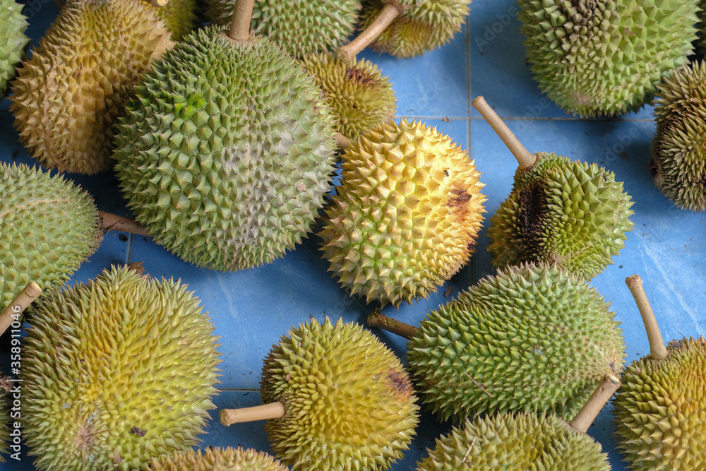 Durian king of fruit Durian king of fruit