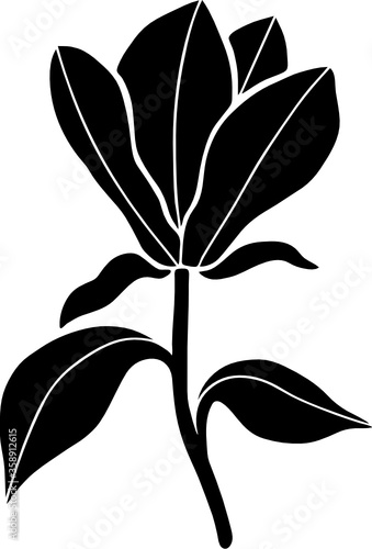 Magnolia flower with leaves silhouette vector illustration