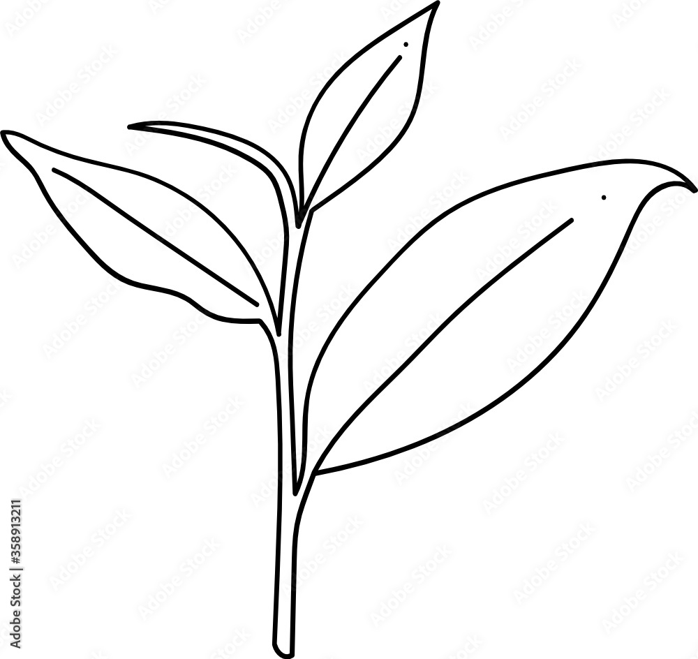 Obraz premium modern minimalist line art leaves