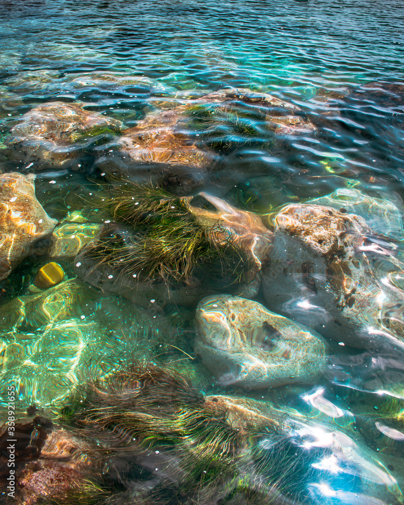 Seabed with large stones and algae