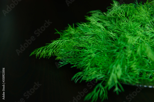 Fresh green dill branches on black background selective focus, close-up. Copy space. Concept benefits of fresh greens for health.