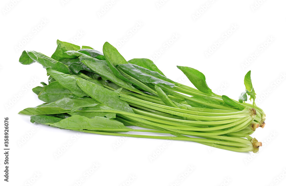 Bunch of spinach leaves on isolated white background Bunch of spinach leaves on isolated white background