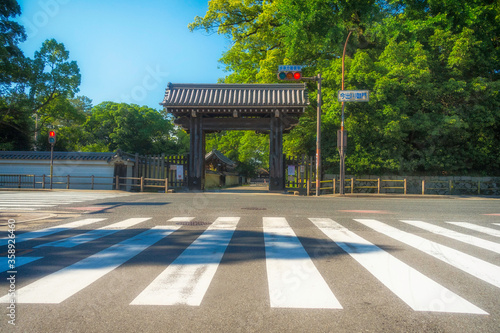 京都御苑の今出川御門と新緑の風景です