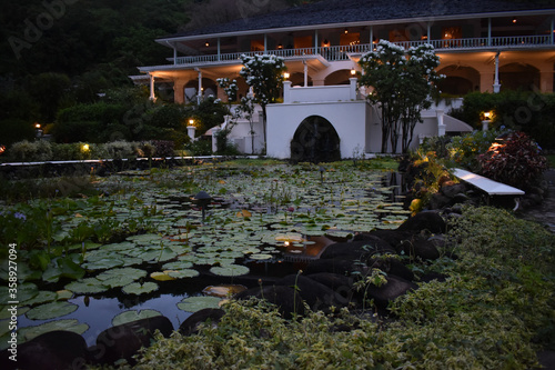 japanese garden at night
