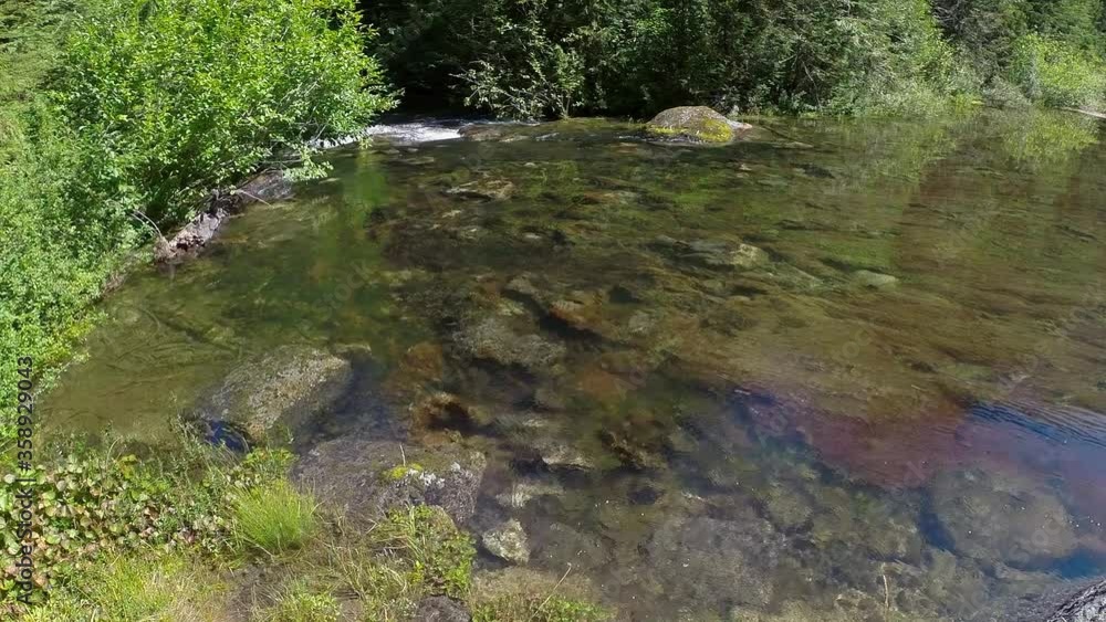 Rodgers Lake, part of Capilano Watershed. North Vancouver BC Canada Rodgers Lake, part of Capilano Watershed. North Vancouver BC Canada