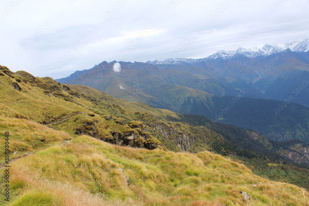 Fototapeta premium a green grass meadow in the region of lower Himalaya.