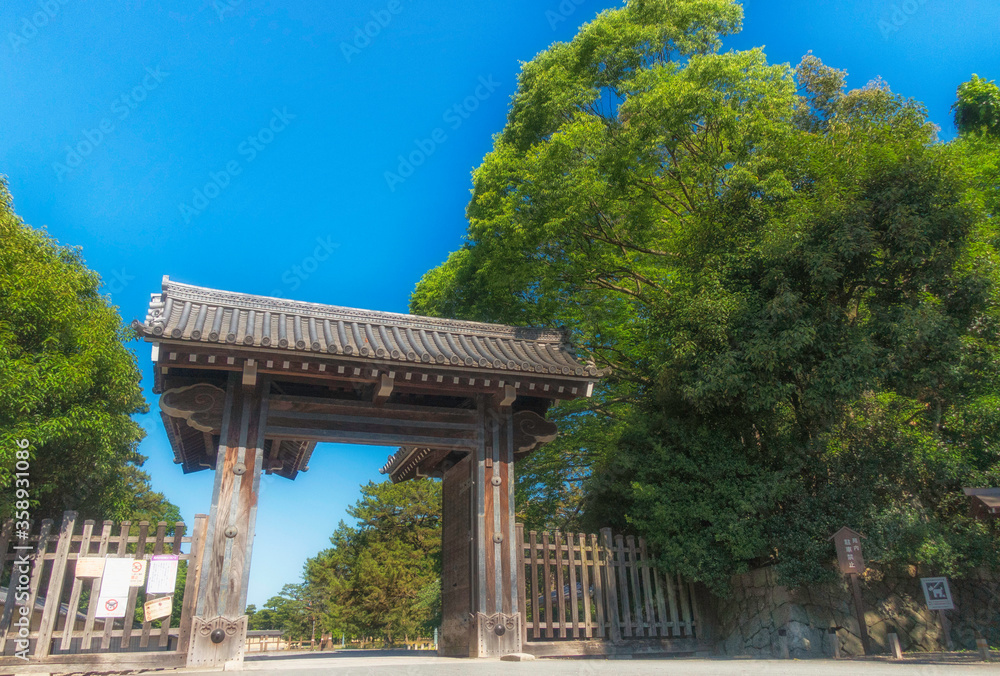 京都御苑の清和院御門と新緑の風景です