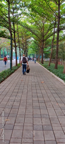 walking in the park