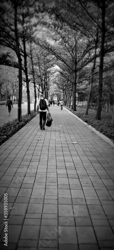 walks on the pathway of life