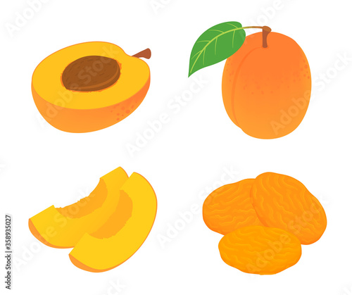 Apricot icons set. Isometric set of apricot vector icons for web design isolated on white background