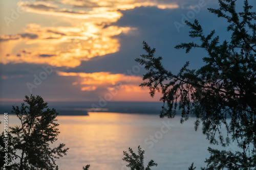sunset over the river. Beautiful sunrise through spruce tree branches
