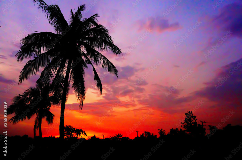 silhouette of coconut palm trees on colorful sun set.