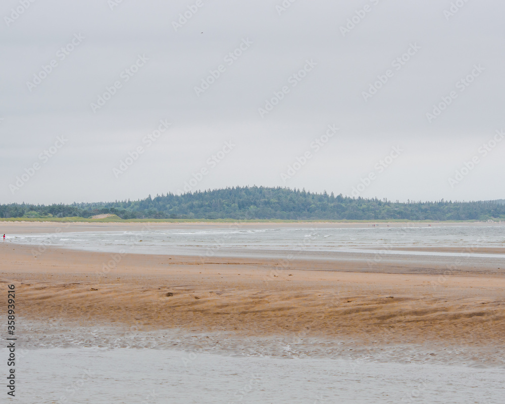 sand dunes and beach sand dunes and beach