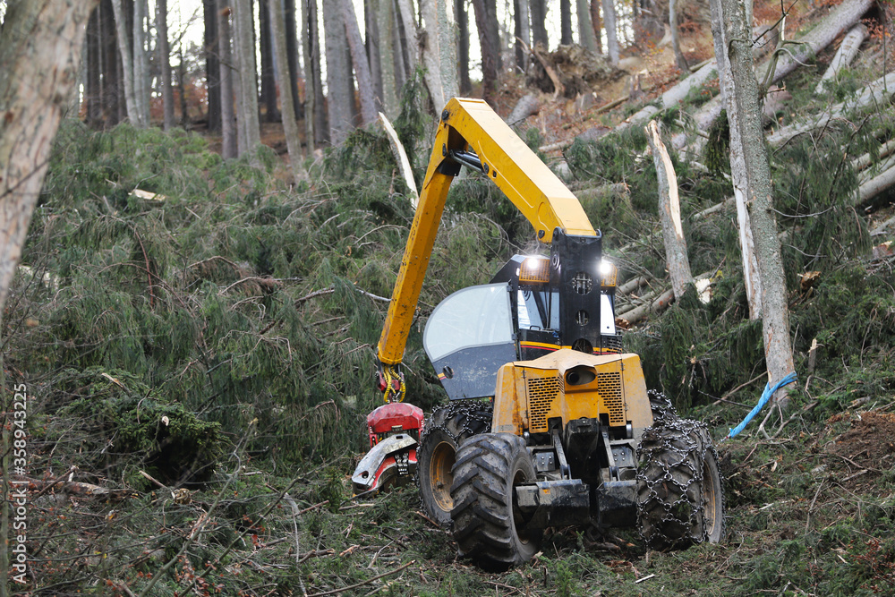 Special forest harvester for extreme slopes in spruce forest processing. Wood harvester anchored and pulled with rope. Forestry cutting with a combine harvester. Forestry with special equipment. Special forest harvester for extreme slopes in spruce forest processing. Wood harvester anchored and pulled with rope. Forestry cutting with a combine harvester. Forestry with special equipment.
