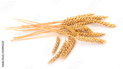 Bunch of ripe wheat ears.