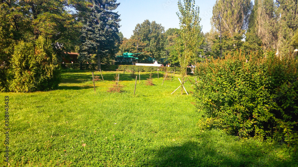 Obraz premium Sunny beautiful park in Moscow