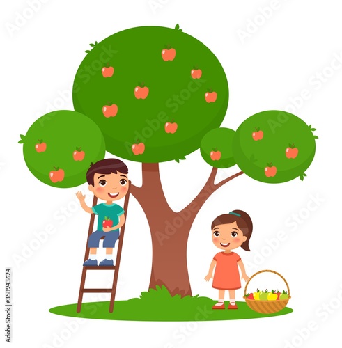 Children picking apples color flat vector illustration. Little boy and girl harvesting fruits together. Brother on ladder and sister near apple tree in garden. Isolated cartoon characters on white