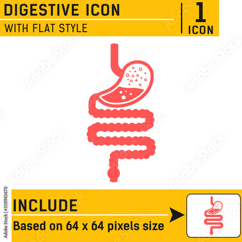 Stomach and esophagus and rectum Human anatomy. Gastrointestinal tract Internal organs. Esophagus vector icon illustration. Flat modern design icon stomach. Digestive tract vector icon illustration