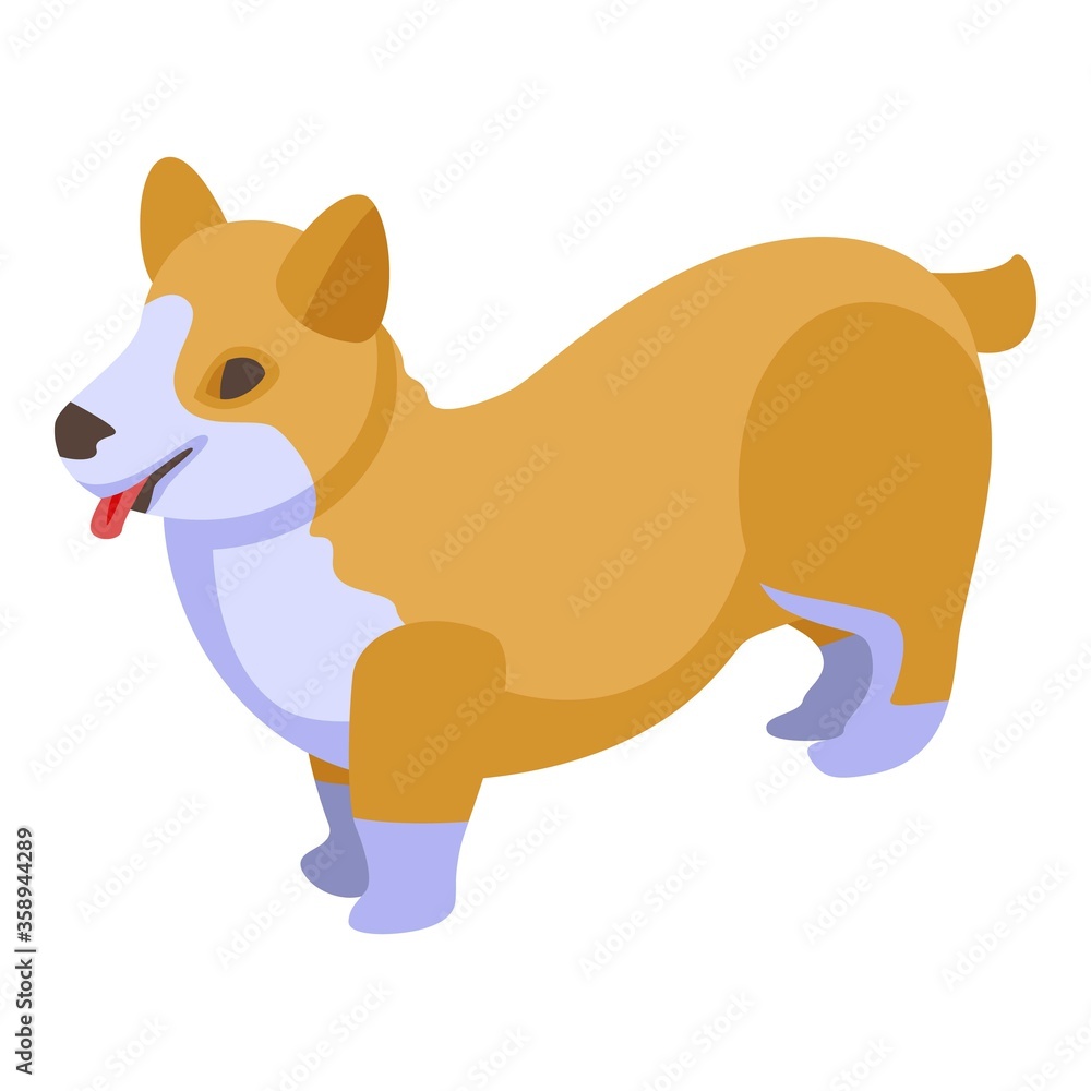Breed corgi dogs icon. Isometric of breed corgi dogs vector icon for web design isolated on white background Breed corgi dogs icon. Isometric of breed corgi dogs vector icon for web design isolated on white background