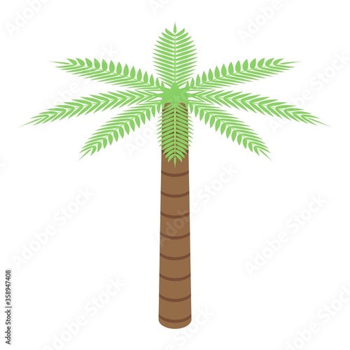Egypt palm tree icon. Isometric of Egypt palm tree vector icon for web design isolated on white background