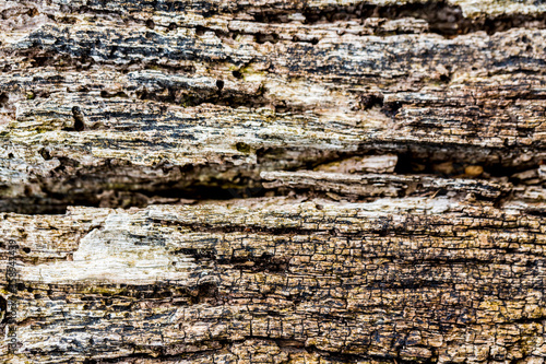 Background very old textured crack wood with lines.