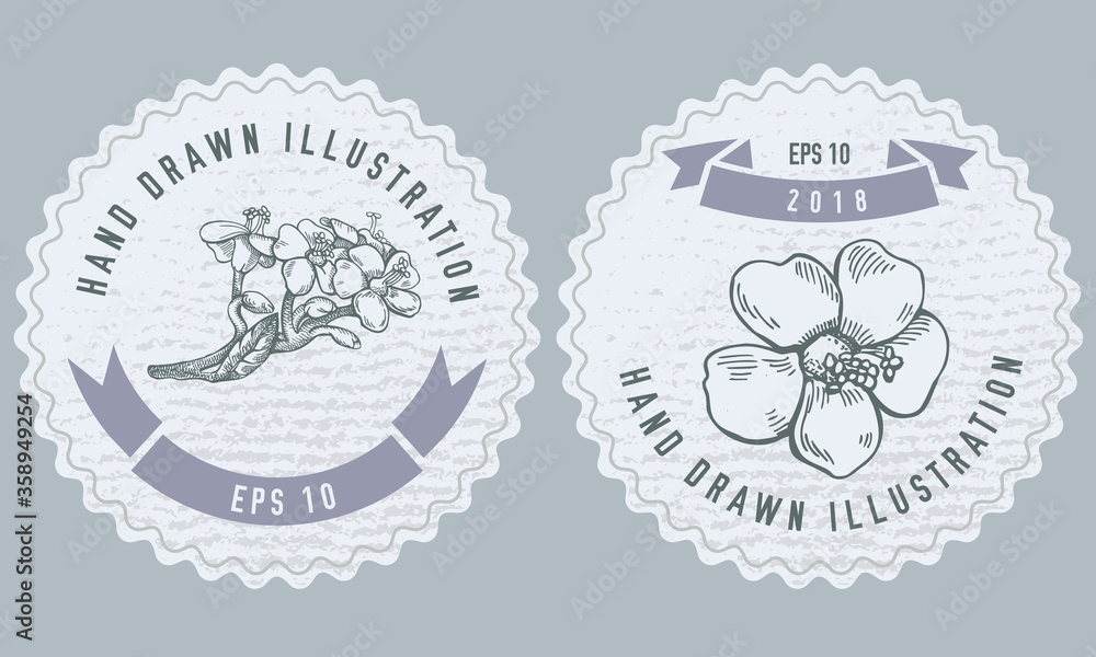 Monochrome labels design with illustration of milkweed