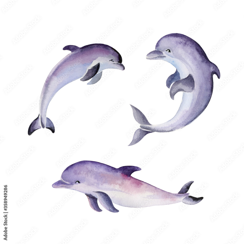 Set of three lilac dolphins isolated on white background. Hand-painted watercolor illustration. Set of three lilac dolphins isolated on white background. Hand-painted watercolor illustration.