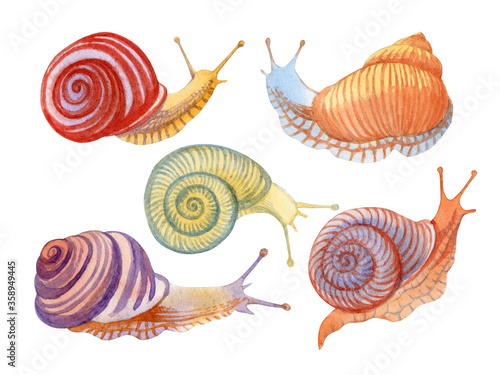 Hand drawn watercolor set of colorful snails isolated on white.