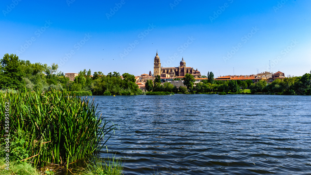 Fototapeta premium It's Old City of Salamanca, UNESCO World Heritage. Spain