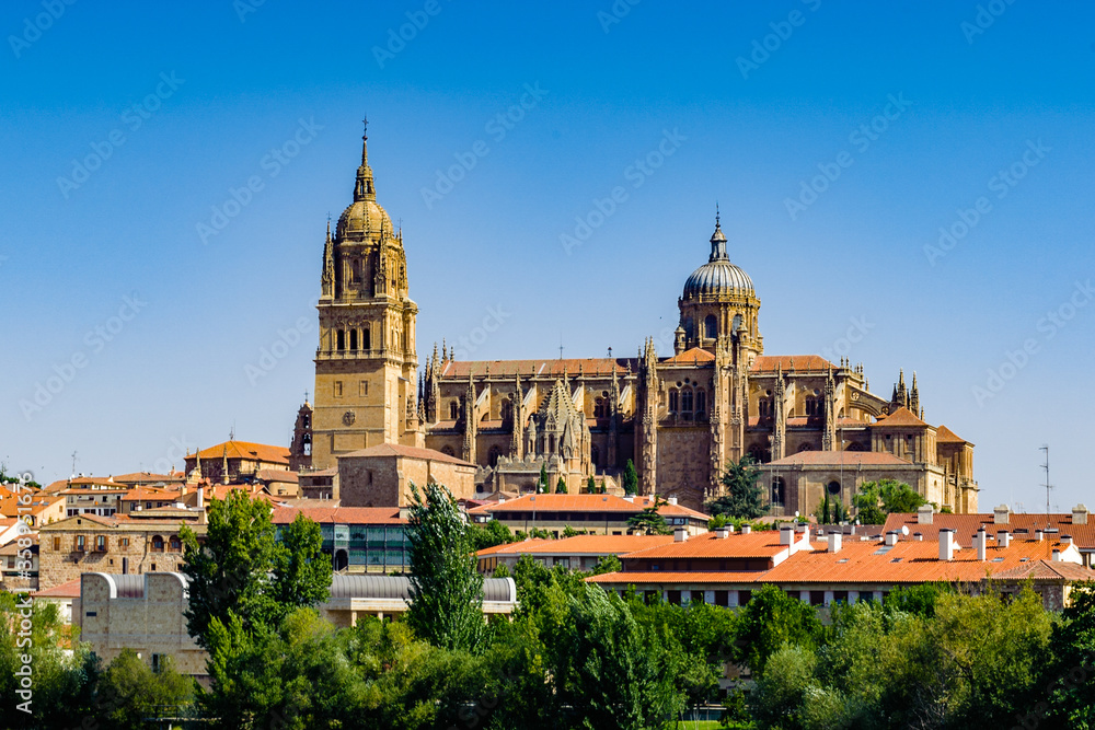 Fototapeta premium It's Old City of Salamanca, UNESCO World Heritage. And river Tormes, Salamanca, Spain