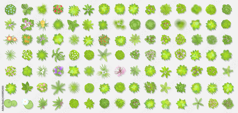 Vector set. Trees top view. Different plants and trees vector set for architectural or landscape design. (View from above) Nature green spaces. Vector set. Trees top view. Different plants and trees vector set for architectural or landscape design. (View from above) Nature green spaces.