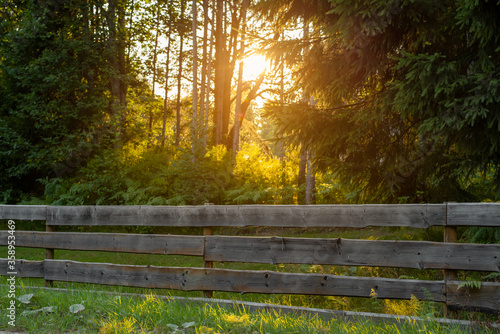 Sunny summer evening in countryside. Old wooden fence.