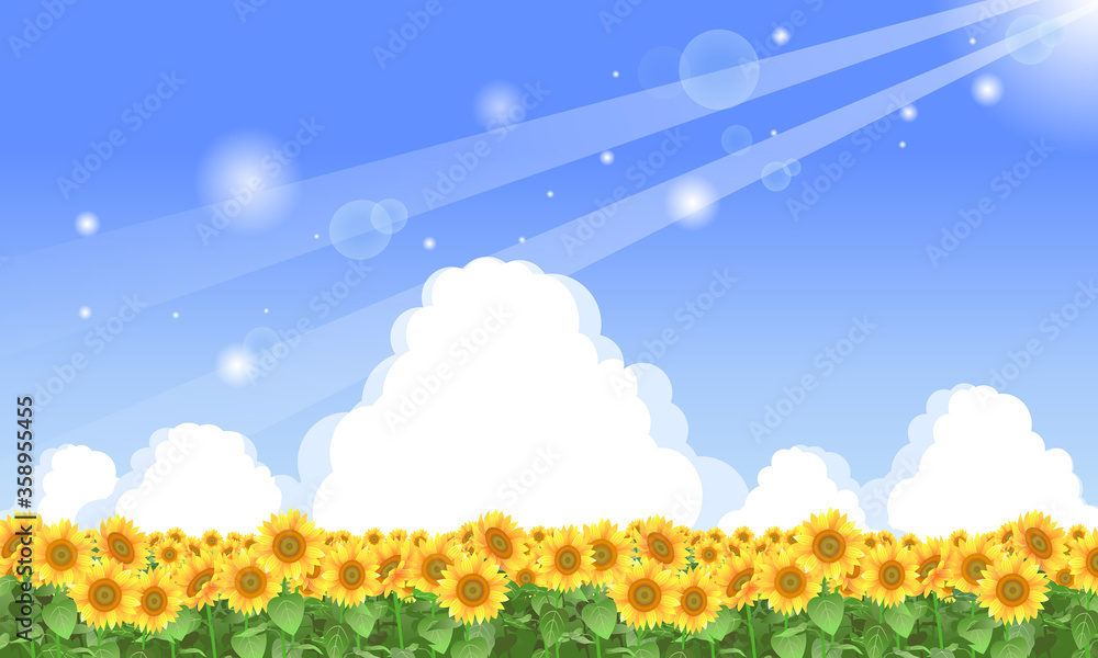 ひまわり畑のイラスト 01 Stock Vector Adobe Stock