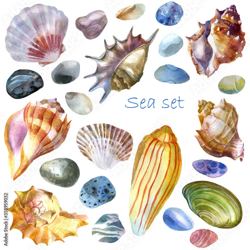 Watercolor illustration. Sea shells, sea stones, set. Summer theme, beach and relaxation.