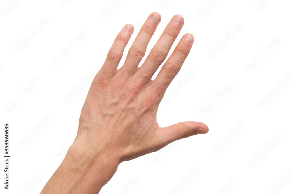 Male left hand counting isolated Male left hand counting isolated