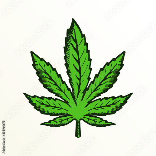Marijuana or cannabis vector leaf, Design element for logo, poster, card, banner, emblem, t shirt. Vector illustration