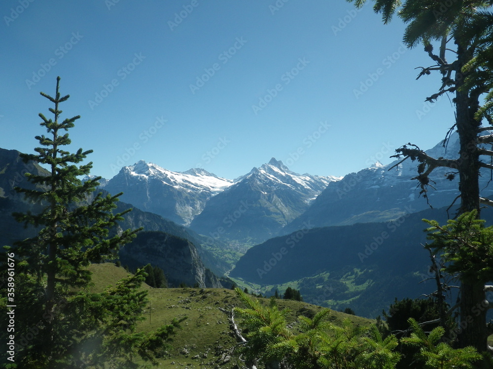 Schynige Platte Alps mountain view Schynige Platte Alps mountain view