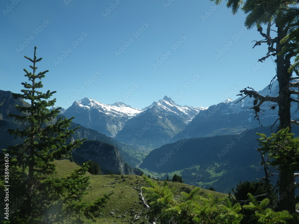 Schynige Platte Alps mountain view