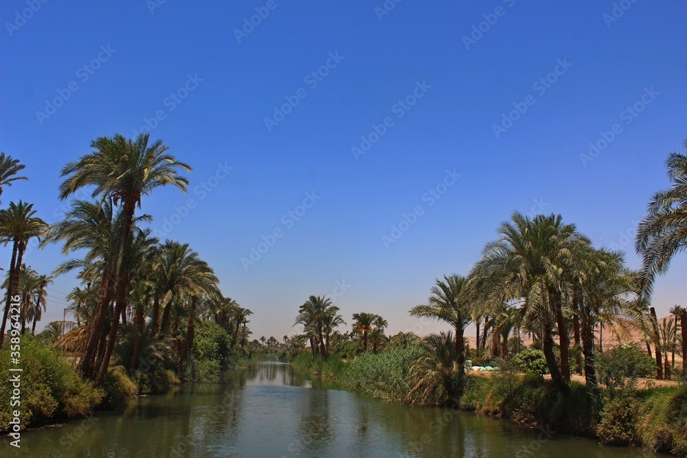 Calm river surrounded by trees and palms with reflection on water in a small village in Assyut Egypt