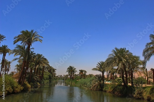 Calm river surrounded by trees and palms with reflection on water in a small village in Assyut Egypt