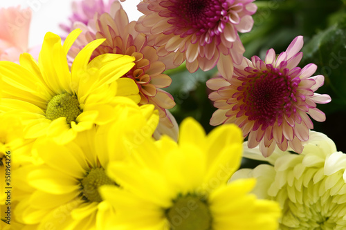 bouquet of yellow and purple chrysanthemum
