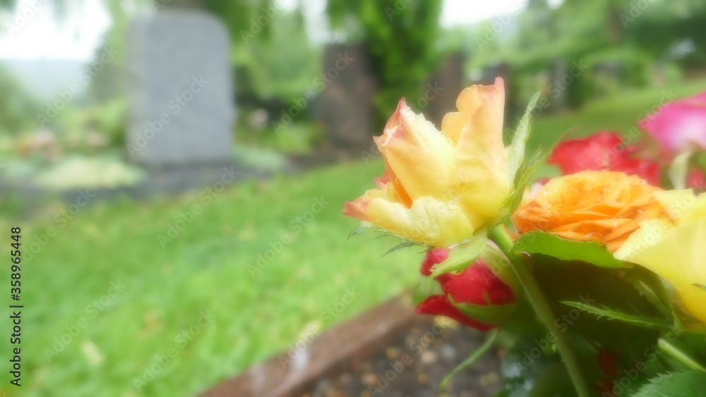 Friedhof Friedhof