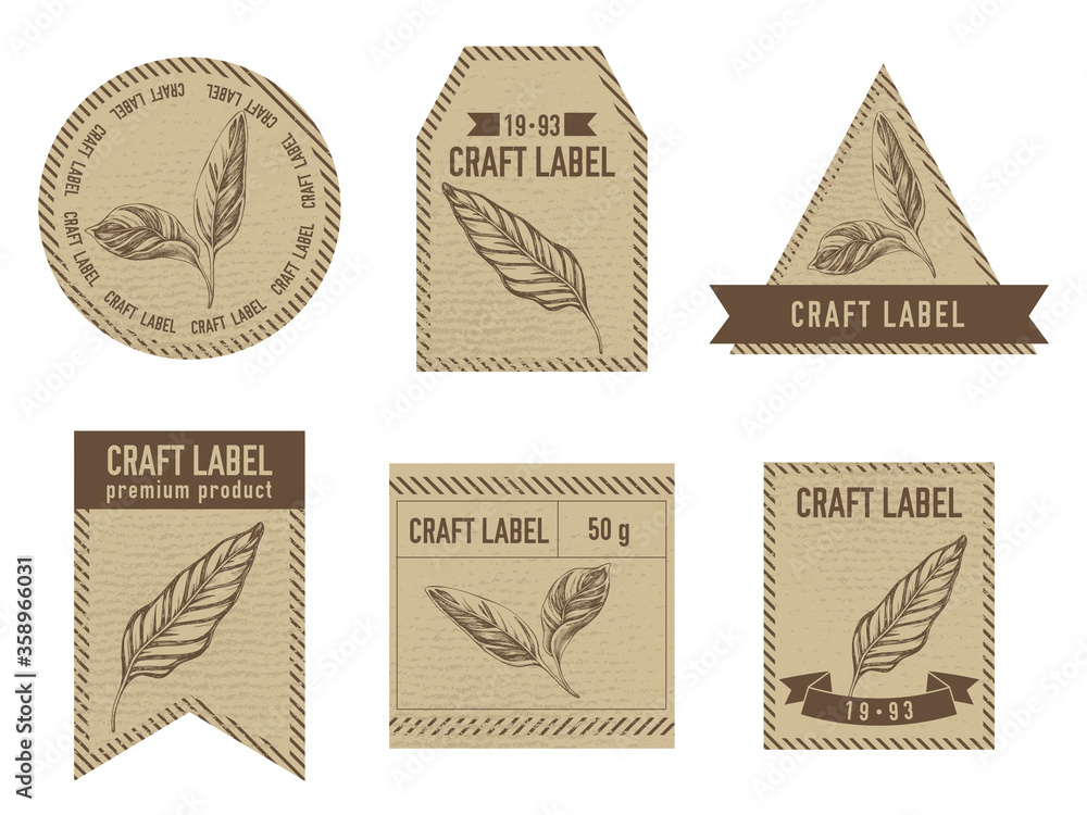 Craft labels vintage design with illustration of calathea