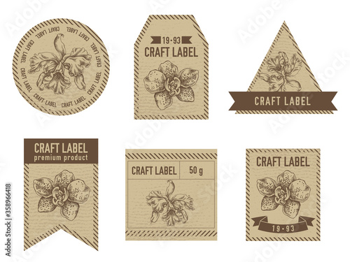 Craft labels vintage design with illustration of orchid